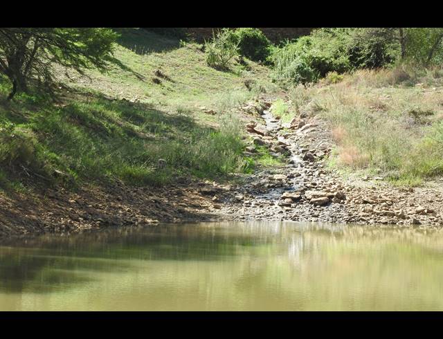 77HA FARM FOR SALE IN CALITZDORP RURAL
